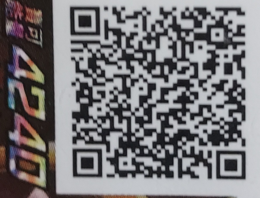 寶可夢 阿爾宙斯 載入失敗請重刷